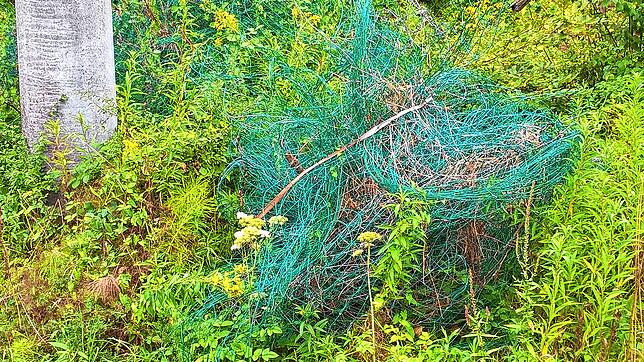 Diese provisorischen Wildzäune hat Leser Bernd Barkim im Wald entdeckt.