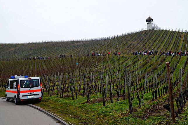 Bild 27: Bilder vom Crosslauf Hegau-Bodensee in den Reben oberhalb der Haltnau