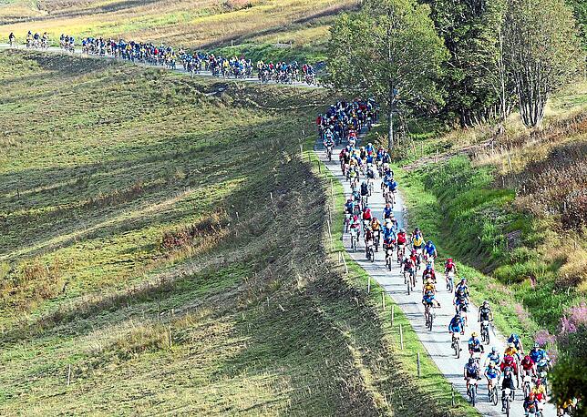 Der Tross der Radfahrer schlängelt sich durch den Schwarzwald: Eine Herausforderung für Profis und Jedermänner ist der Bike-Marathon.