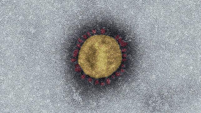 Das Coronavirus bestimmt bereits seit Monaten unseren Alltag. &bdquo;Ein Long-Covid-Verlauf ist derzeit nicht meldepflichtig. Es werden ...