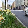 Das Frühingswetter lockte am Samstag, 13. April, viele Konstanzer vor die Tür und auf die Drahtesel. Leider verunfallten drei ...