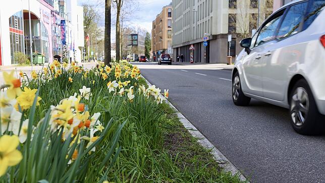 Das Frühingswetter lockte am Samstag, 13. April, viele Konstanzer vor die Tür und auf die Drahtesel. Leider verunfallten drei ...