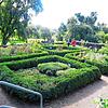 Aromatisch: Wird gerne übersehen &ndash; der Kräutergarten am Rande des oberen Schlossparks &ndash; ein Geheimtipp für Duftgenießer.