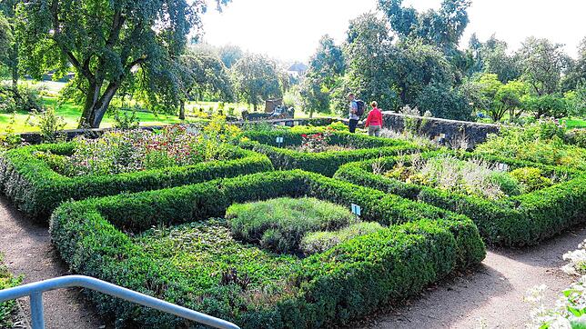Aromatisch: Wird gerne übersehen &ndash; der Kräutergarten am Rande des oberen Schlossparks &ndash; ein Geheimtipp für Duftgenießer.