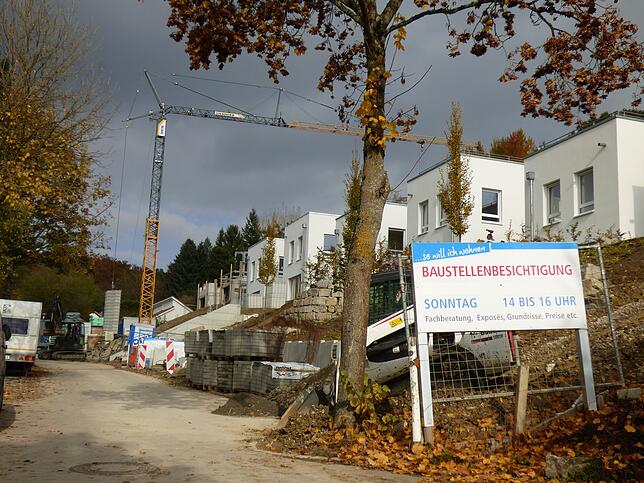 Die Pick-up-Doppelhäuser in Leimbach wurden Ende 2016 bezogen.