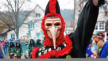 Bild : Seenarrentreffen Möggingen: Tausende feiern trotz Regen beim Festumzug!