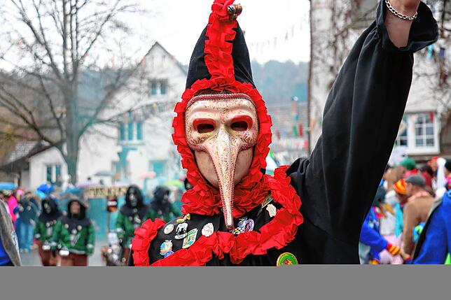 Bild 1: Seenarrentreffen Möggingen: Tausende feiern trotz Regen beim Festumzug!