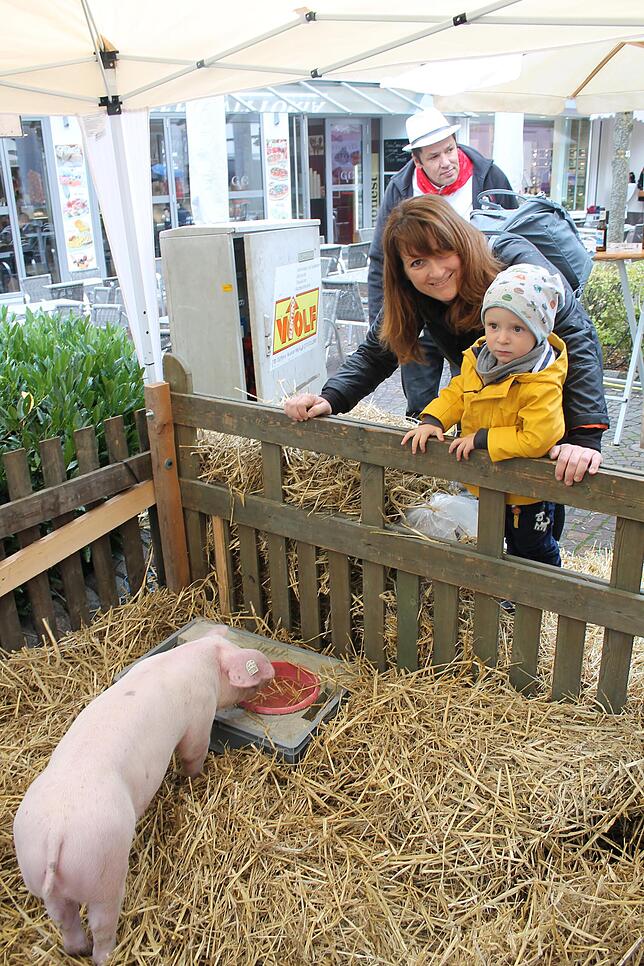 „Was wiegt das Ferkel?“, fragen sich Martina und Oscar Bucher. Seit 22 Jahren bietet die Narrenzunft Hans heini Narro aus ...