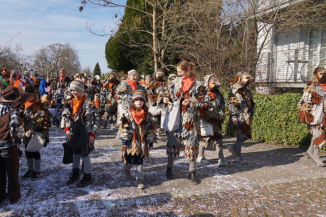 Bild 9: Küssaberger Narrentreffen 2025: Rheinheim feiert Fasnacht