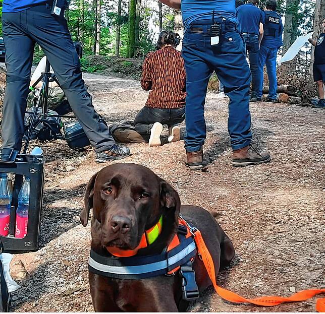Labrador Banyo ist der heimliche Star beim „Tatort“-Dreh.