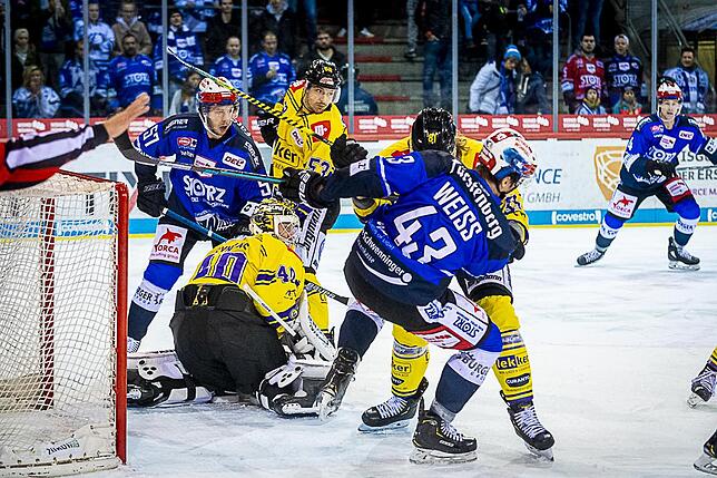 Bild 30: Bilder: Wild Wings vs. Krefeld Pinguine