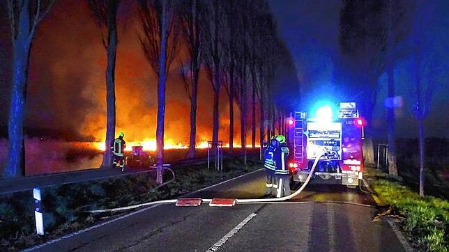 Am Samstagmorgen brannte es auf dem Inseldamm Reichenau lichterloh. Die Feuerwehr rückte mit 50 Einsatzkräften an.