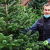 Sind nach wie vor beliebt: Natürliche Christbäume sind zumindest in ländlichen Regionen gefragt. Jörg Steinhäusler von ...