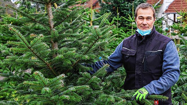 Sind nach wie vor beliebt: Natürliche Christbäume sind zumindest in ländlichen Regionen gefragt. Jörg Steinhäusler von ...