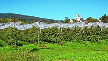 Der Gemeinderat will in seiner Sitzung im Oktober endgültig entscheiden, welches Energie-Versorgungssystem im geplanten Baugebiet ...