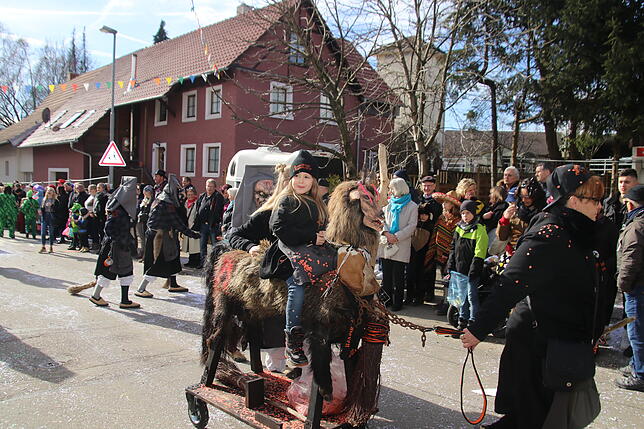 Bild 2: Bilder zum Narrentreffen in Schwerzen (1)