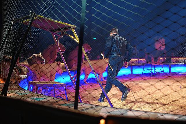 Bild 29: Circus Krone in Konstanz: Eindrücke vom glanzvollen Premierenabend der Manege – die besten Bilder!