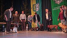 Jagdhunde aller Größen sind wichtige Helfer bei der Jagd und bei der Nachsuche und sollen nach den Vorstellungen der Jäger nun ...
