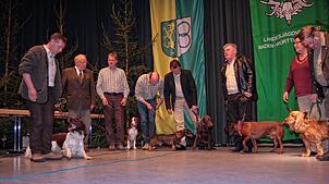 Jagdhunde aller Größen sind wichtige Helfer bei der Jagd und bei der Nachsuche und sollen nach den Vorstellungen der Jäger nun ...