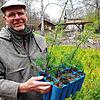 Jens Borchers zeigt einige der vom Biber abgenagten Baumsetzlinge im Schlosspark. Die verbliebenen Setzlinge im Hintergrund sind jetzt ...