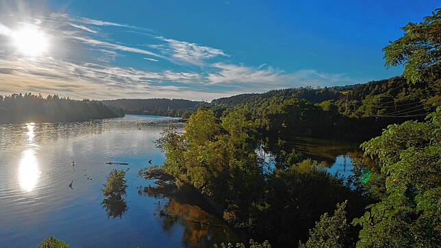 Die Wärme des Rheinwassers könnte für ein Nahwärmenetz genutzt werden.
