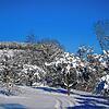 Vieles erinnert bei der Krankheit Demenz an Schnee, der die Landschaft nach und nach bedeckt, wie hier in Tengen. Die Streuobstwiese und ...