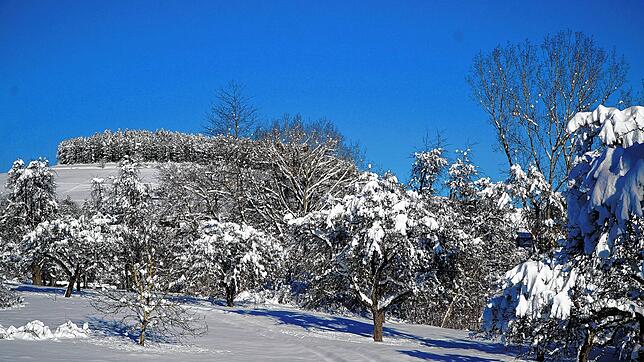 Vieles erinnert bei der Krankheit Demenz an Schnee, der die Landschaft nach und nach bedeckt, wie hier in Tengen. Die Streuobstwiese und ...