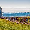 Die landschaftlich reizvolle Strecke macht den Schwarzwald-Marathon seit 57 Jahren zu einem ganz besonderen Laufevent. Bild: LSG
