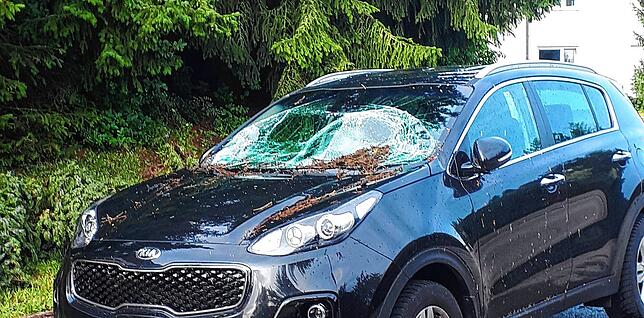 In der Danziger Straße in Donaueschingen hat ein Baum offensichtlich die Windschutzscheibe eines Autos zerschlagen.