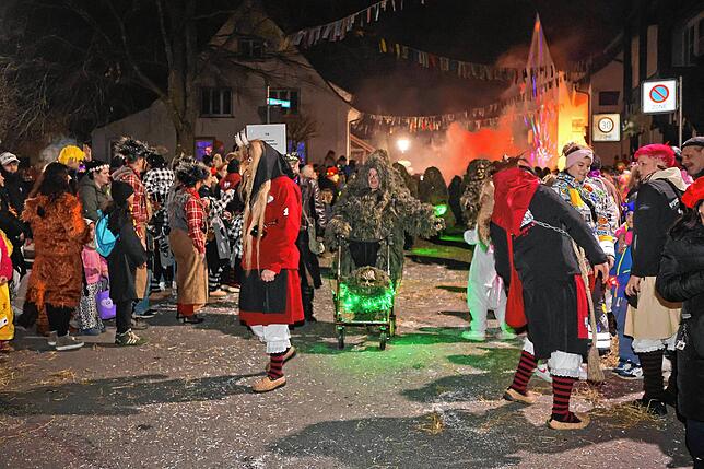 Bild 12: Nachtumzug Möggingen 2025: Fasnacht in Bildern – 30 Gruppen in voller Pracht
