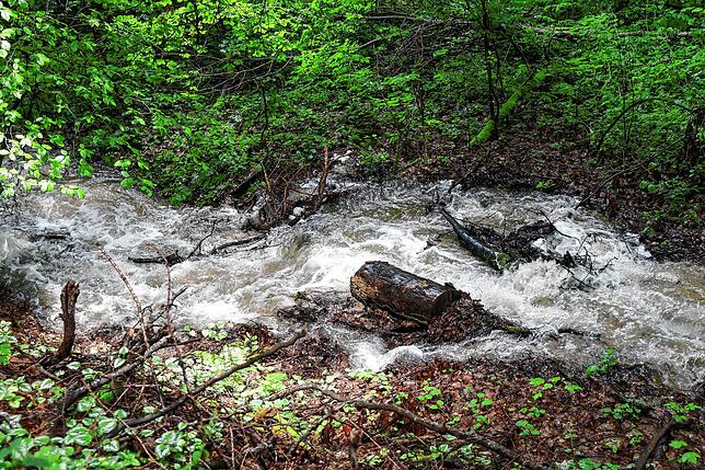 Bild 7: Abwasserkanäle kommen nicht mehr hinterher: Bilder vom heftigen Unwetter in Radolfzell