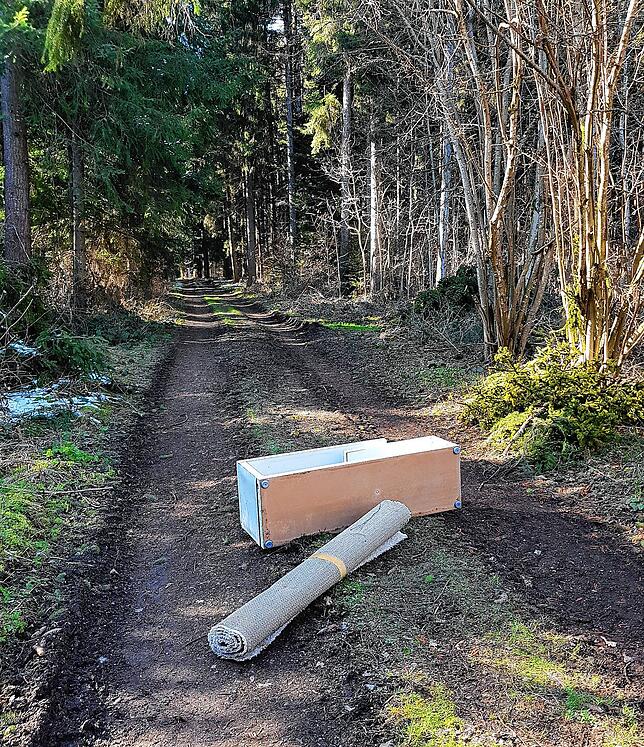 Bild 1: Schweinerei im VS-Wald: Unbekannte entsorgen Wohnungseinrichtung in unserer schönen Natur