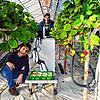 Humberto Estrada (unten) und Marian Bolz sind fleißig: Sie testen die Funktionen des Ernteroboters &bdquo;Berry&ldquo; auf Herz und ...