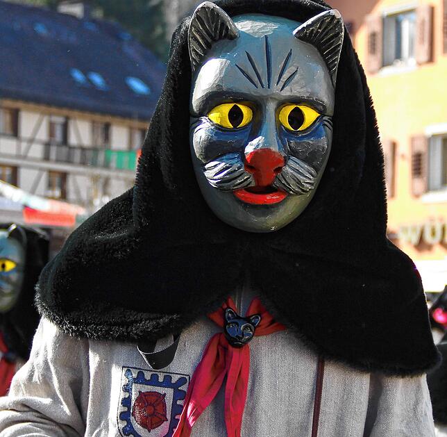 Bild 4: Quiz für Fasnachtsfans: Erkennen Sie diese Narrenfiguren aus der Region?
