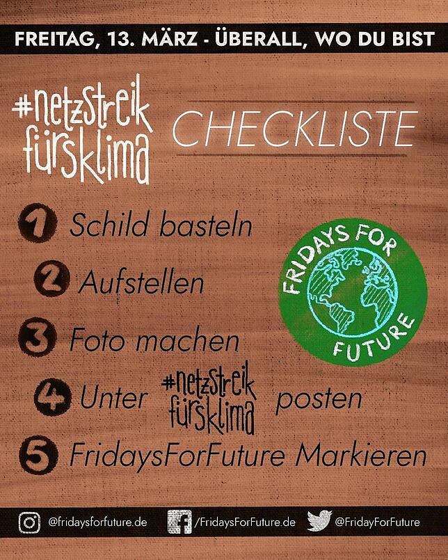 Bild 3: #climatestrikeonline: Fridays for Future verlagert Streiks ins Internet &ndash; auch Gruppierung aus Villingen-Schwenningen will Verantwortung übernehmen