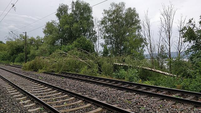 Zwischen Konstanz und Radolfzell fährt derzeit kein Zug.