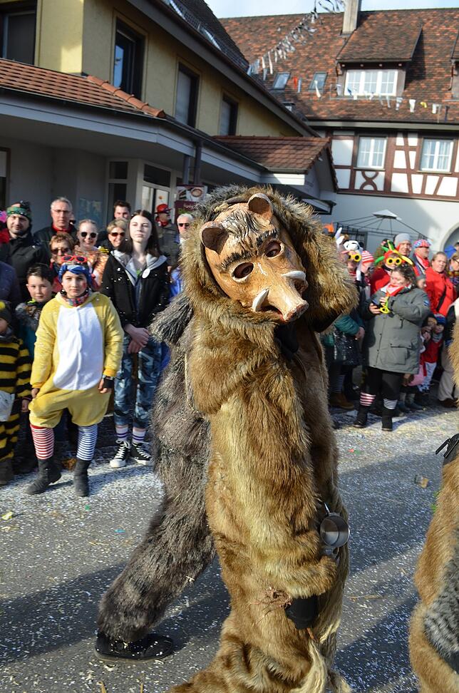 Bild 30: Eigeltinger Narrentage: Der Sonntagsumzug in Bildern (3)