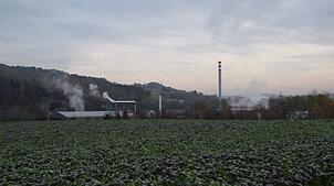 Zu verschiedenen Tageszeiten werden Wasserdämpfe bei der Alu Stockach abgelassen. Einige Anwohner in Stockach, vor allem am Nellenburger ...