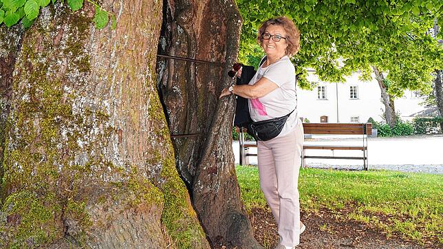 Die alte Gerichtslinde am historischen Postplatz in Heiligenberg imponiert der Seniorin. Bilder: Martina Wolters