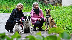 Die Hundetrainerinnen Kathrin Diestel (links) und Heike Pochop mit ihren Hunden Bounty (ein Papillon), Daifu (Border Collie) und Podenko ...