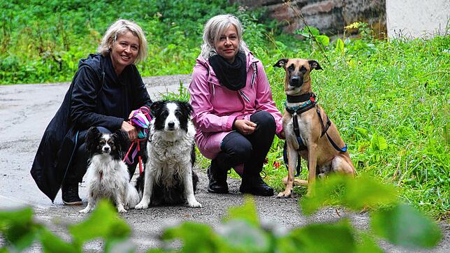 Die Hundetrainerinnen Kathrin Diestel (links) und Heike Pochop mit ihren Hunden Bounty (ein Papillon), Daifu (Border Collie) und Podenko ...