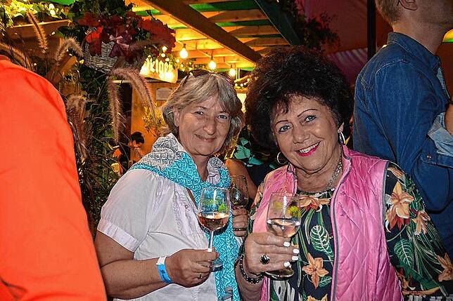 Bild 26: Die schönsten Bilder vom Bodensee-Weinfest in Meersburg