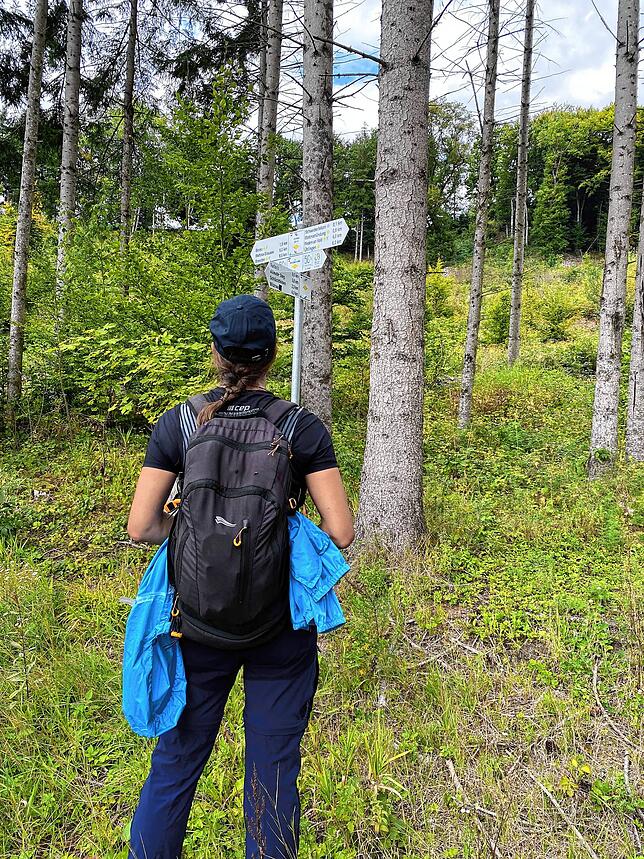Bild 9: Gemeindejubiläum: Die schönsten Momente der Wanderung durch Ühlingen-Birkendorf