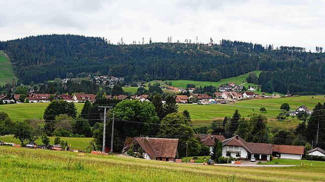 Auf dem Bergrücken Ödland-Wiedenbach soll ein Flächenpool zur Errichtung von Windkraftanlagen gebildet werden. Ob sich auch die Gemeinde ...