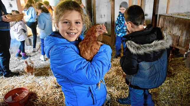 Keine Berührungsängste mit dem lieben Federvieh hat auch Clara Frech (9 Jahre), die mit ihren Mitschülern von der Alemannenschule an dem ...