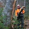 Der Wehrer Stadtförster Georg Freidel zeigt einen durch den Sturm geschädigten Baum. Bild: Julia Becker