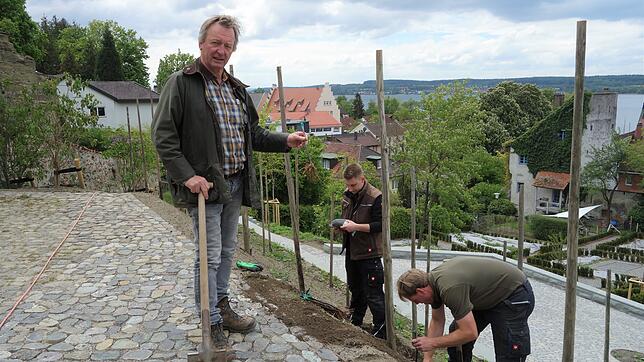 Thomas Kress (links) zeigt, wie ein Weinsetzling aussieht, bevor er von Leonhard Ehrlinspiel (Mitte) und Martin Lemke eingepflanzt und ...