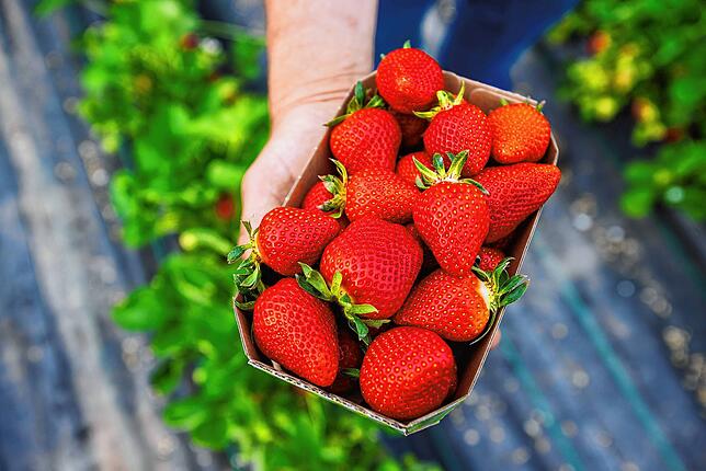 Schnell sein! Erdbeeren gibt es aktuell zum Schnäppchenpreis.