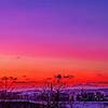 Wie schön ist dieser winterliche Sonnenaufgang über Konstanz? Dass diese Stadt trotz künftiger – vor allem finanzieller – ...