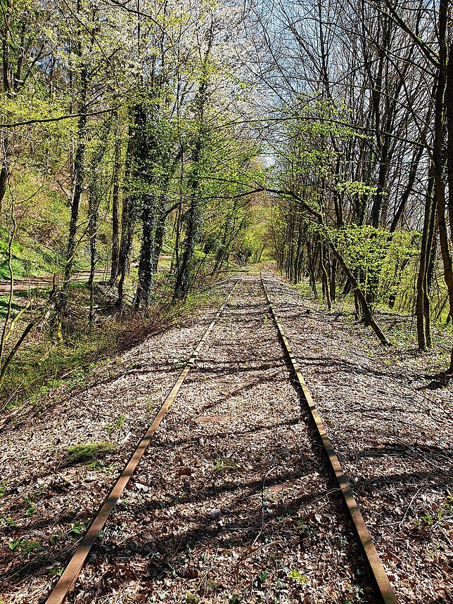 Bild 4: Verkehrsministerium: Wehratalbahn hat großes Potenzial